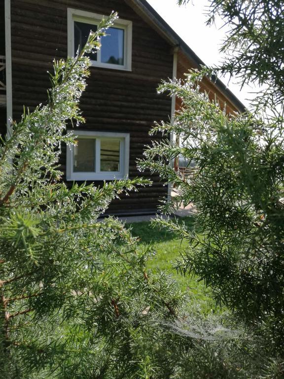 Kam In Otel Krivopol'ye Dış mekan fotoğraf